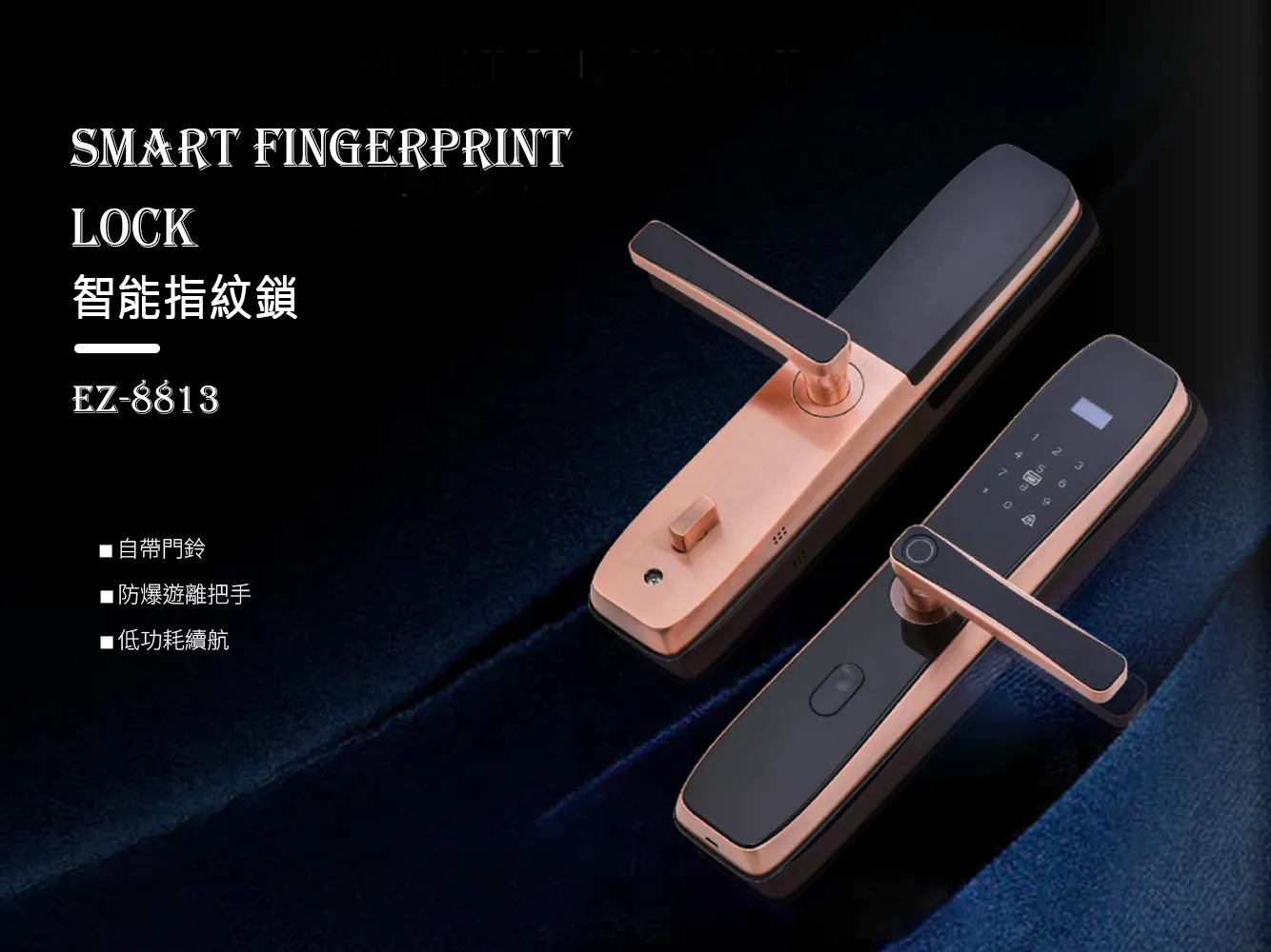 C17ez 8813 01 C17ez 8813 01