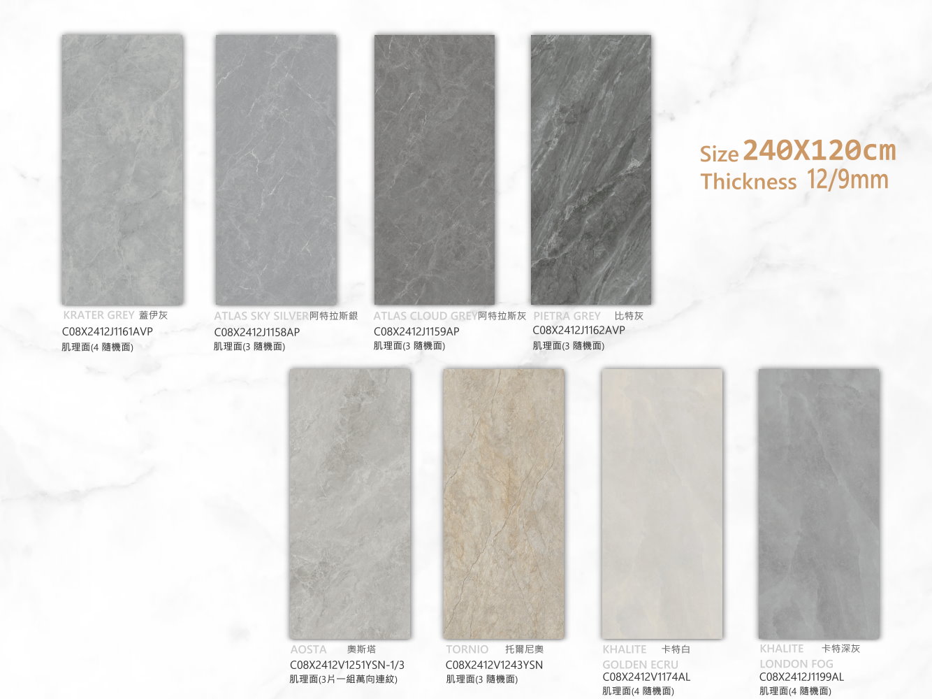 X2412系列02規格圖